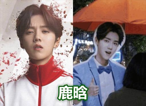 明星广告立牌,广告立牌背后的明星魅力与市场影响力
