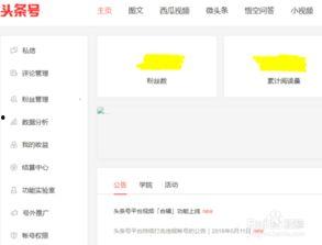 新闻头条号发表的视频,新闻头条号最新热点事件深度解析