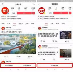 头条小程序数据丢失,揭秘事件背后的真相与影响”