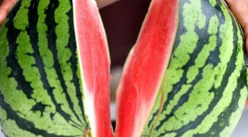 紫禁吃瓜,揭秘宫廷秘闻趣事