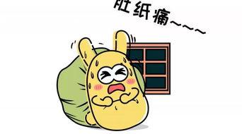 吃瓜群众第10000号,揭秘网络红人的崛起之路