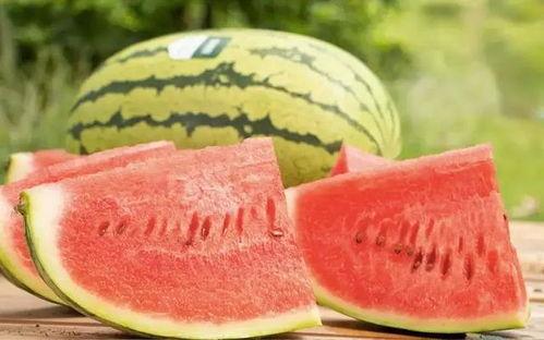 宁夏沙漠瓜可以吃吗,沙漠中的美味果实，可食用吗？