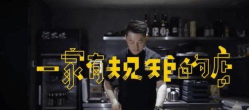 为什么网红会爆红全世界,揭秘网红全球走红的原因