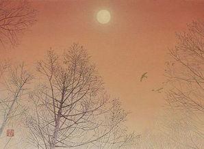 中国诗歌头条诗人灯灯,诗意漫步，点亮心灵的诗行